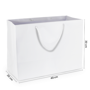 Sacola de Papel G1 Grande Branca 40x30x20 cm (10 Unidades)