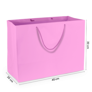 Sacola de Papel G1 Grande Rosa 40x30x20 cm (10 Unidades)