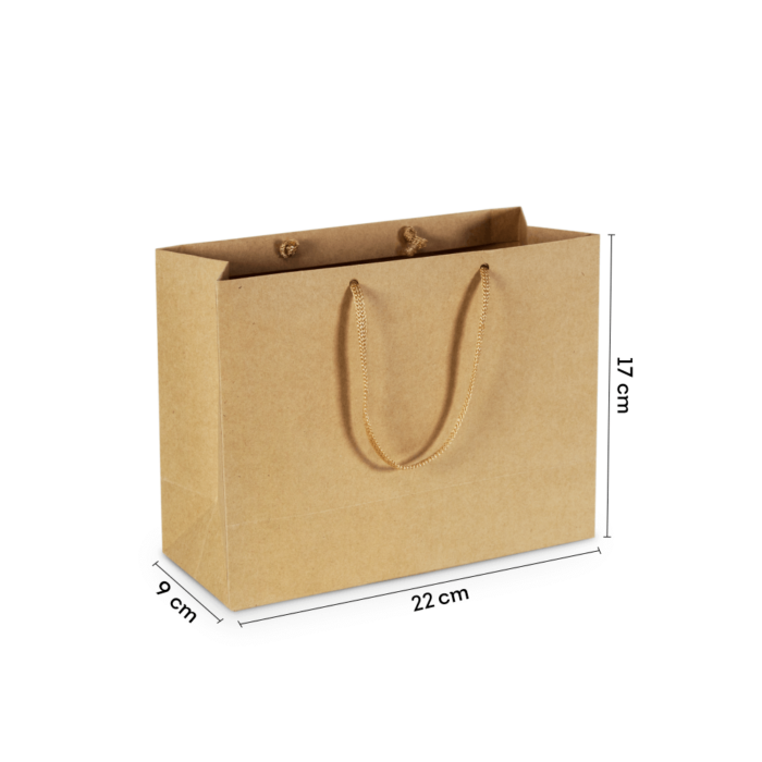 Sacola de Papel P1 Pequena Kraft 22x17x9 cm (20 Unidades)